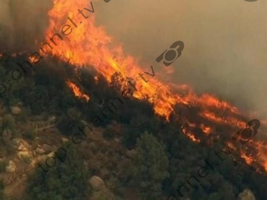 Zjarret shkrumbuan rreth 5 mijë hektarë në Vlorë! Prefekti i Qarkut: Mungojnë mjetet për zjarrfikësit, s’ka as veshje