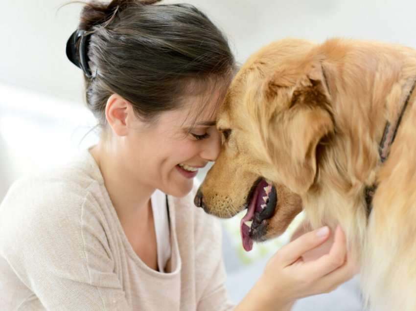 Puthjet e qenit tuaj mund të përmbajnë një bakter që mund t’ju vrasë, thotë studimi