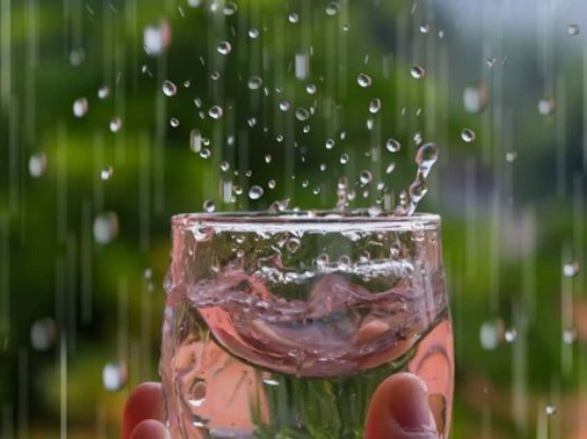 A mund të pini ujë shiu pa e zier?