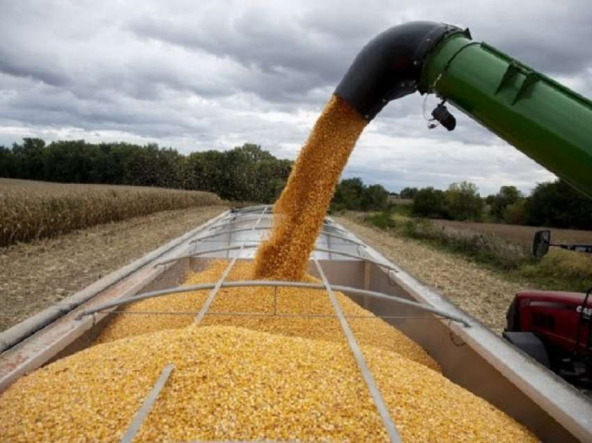 ​Çmimi i misrit në SHBA pranë rekordit dhjetëvjeçar