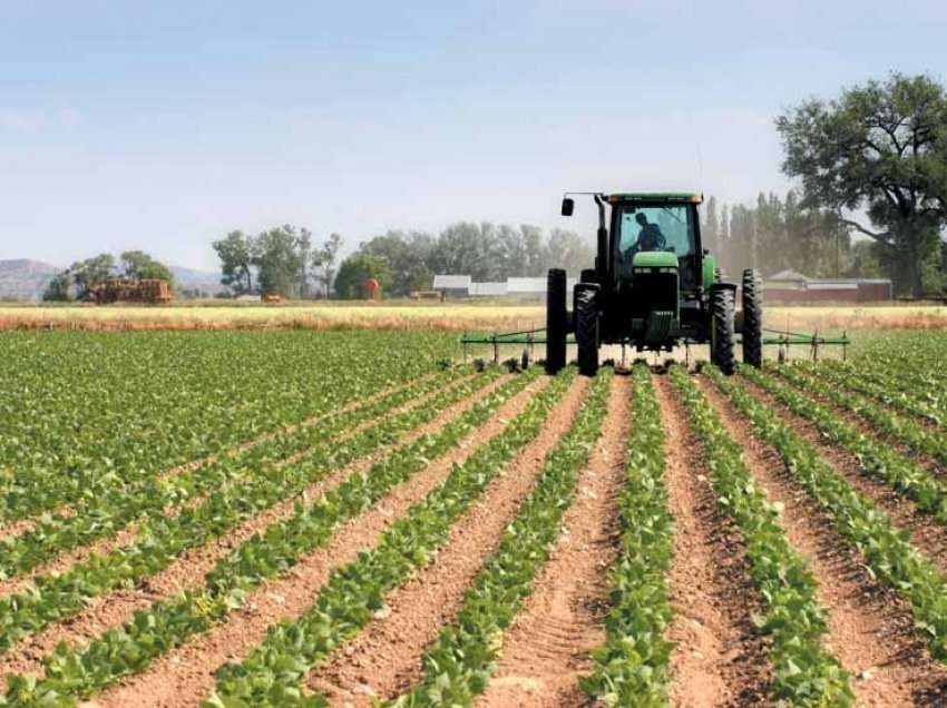 Rreth 50 milionë euro planifikohet të ndahen subvencione për bujqit