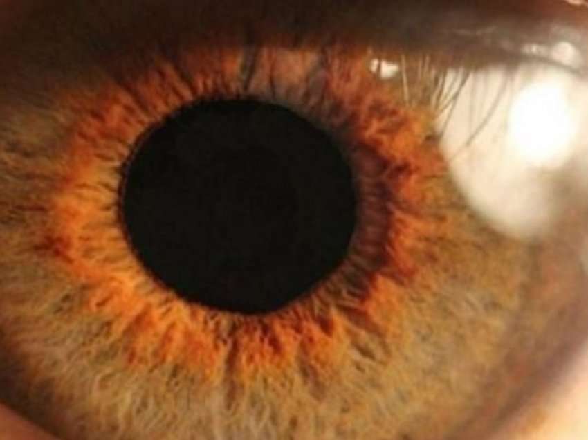 Syri i njeriut është i mbushur me baktere