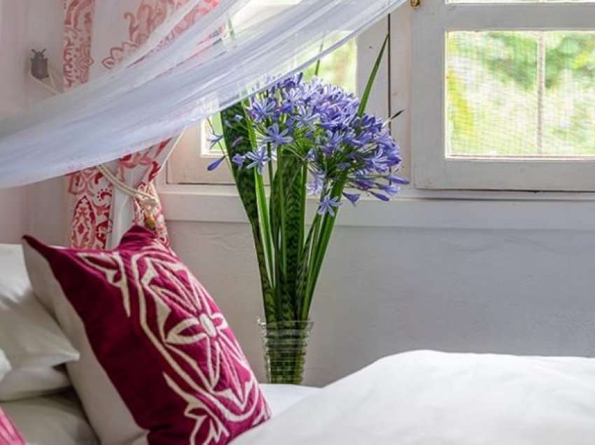 Aromaterapia: Për një gjumë të mirë, futni lule në dhomën e gjumit, por kujdes vetëm ato të duhurat