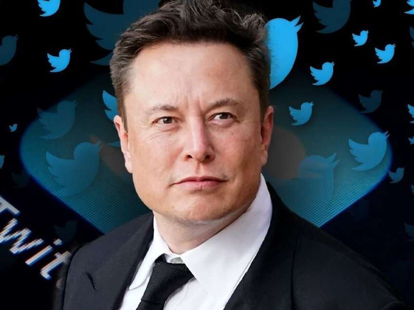 Elon Musk bleu Twitter-in, po tani?