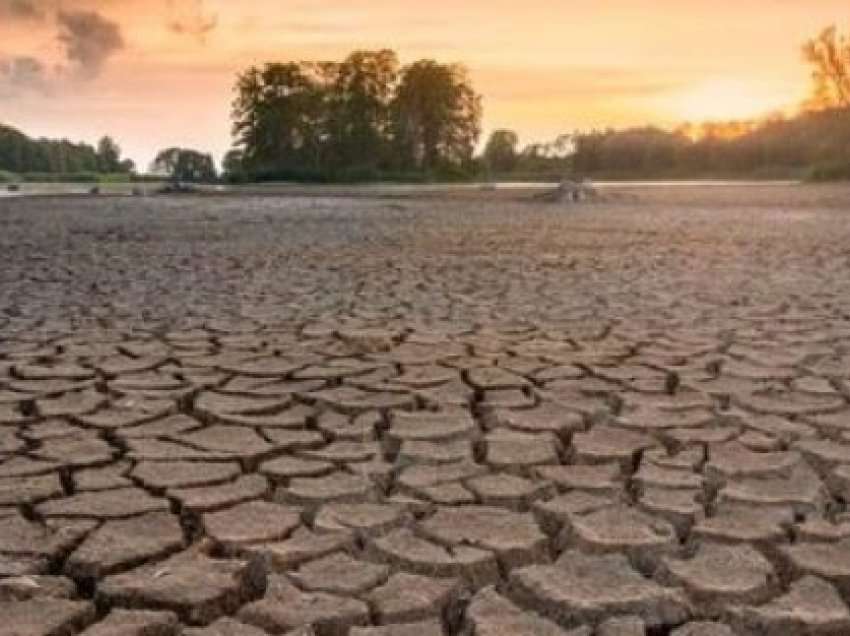 ​Holanda shpalli mungesë uji për shkak të thatësirës