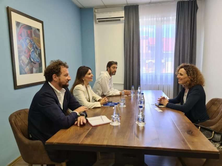 Zyrtarët e PDK-së takojnë ambasadoren e Izraelit, flasin për mundësitë e bashkëpunimit