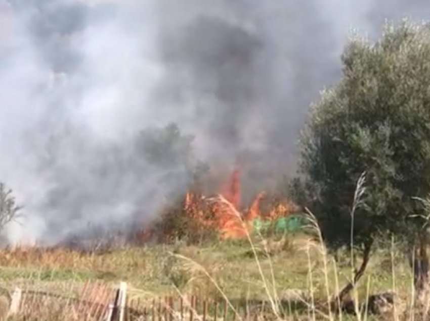 Shtohen vatrat e zjarrit në Shqipëri, autoritetet: Shumë janë të qëllimshme