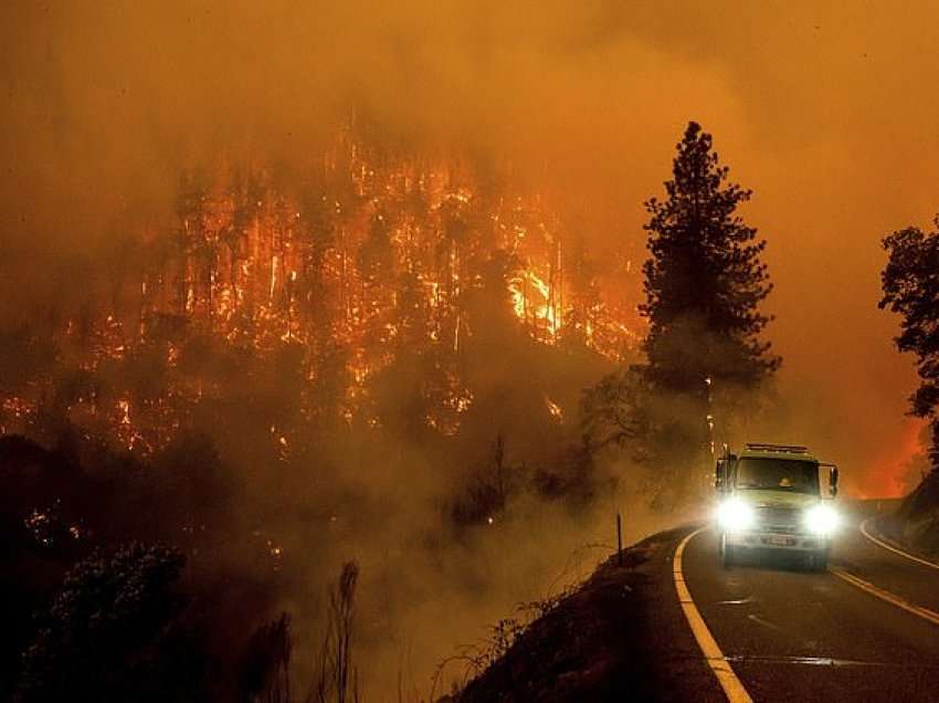 Zjarri përfshin parkun kombëtar në Portugalinë qendrore