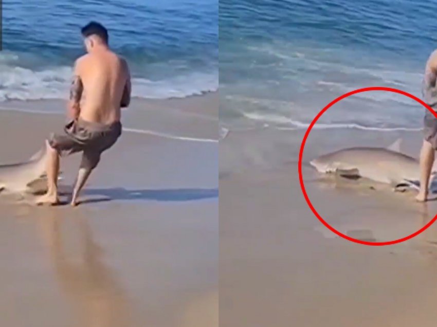 Çmenduri në breg të detit/ Burri “bën mundje” me peshkaqenin