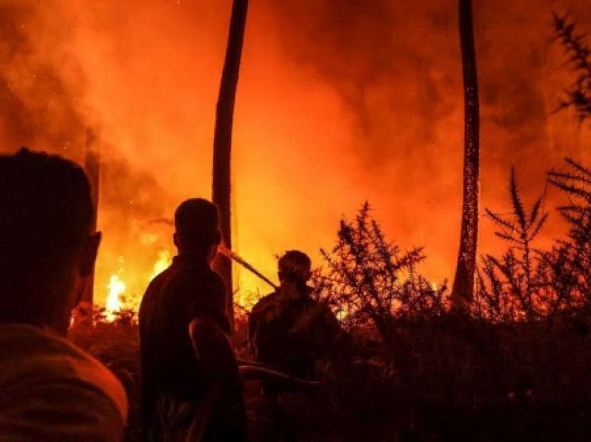 BE regjistron zjarret më të këqija pyjore që nga viti 2006
