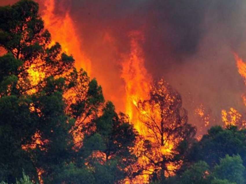 Era e djegies së pyjeve të Portugalisë arrin deri në Madrid