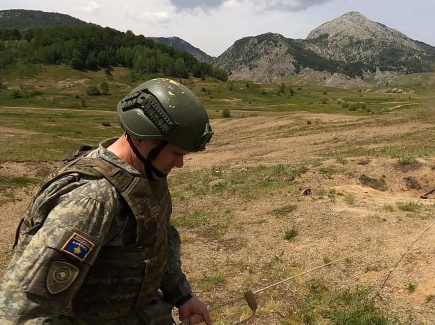 Traktati ushtarak Kosovë-Shqipëri – ka disa armiq 