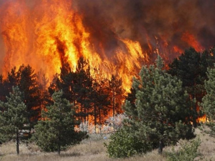 Përmirësohet menaxhimi i zjarreve në Shqipëri