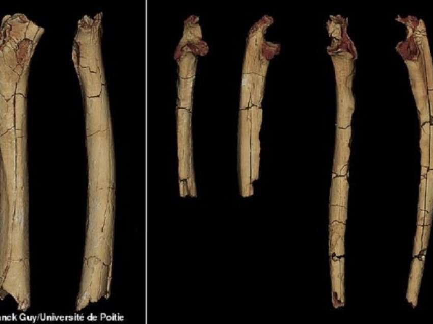 Paraardhësit e njeriut po ecnin me dy këmbë para 7 milionë vjetësh
