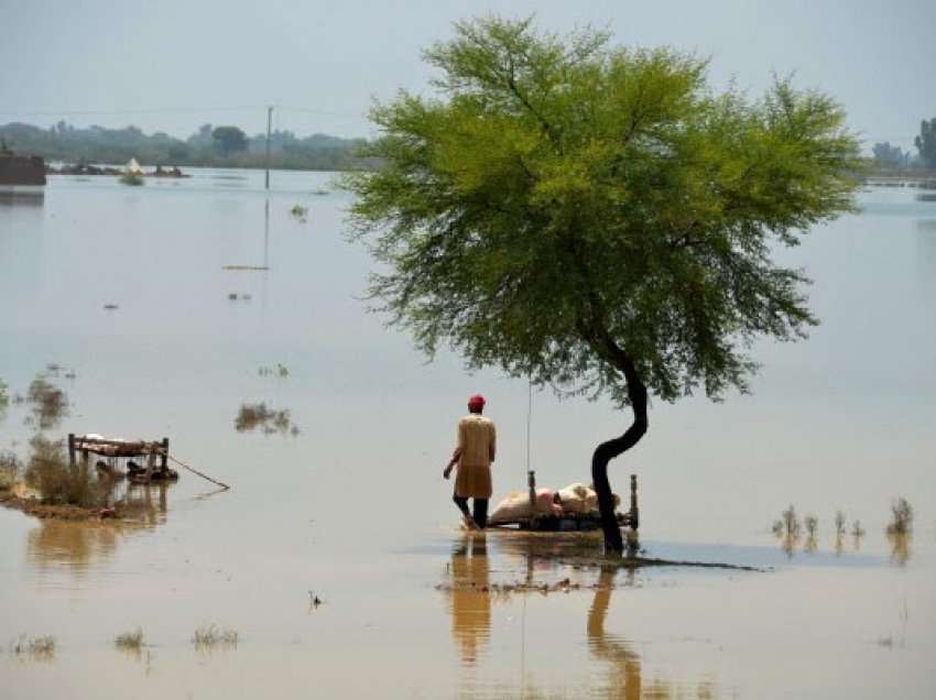 ​Guterres kërkon të ndihmohet Pakistani për shkak të përmbytjeve masive