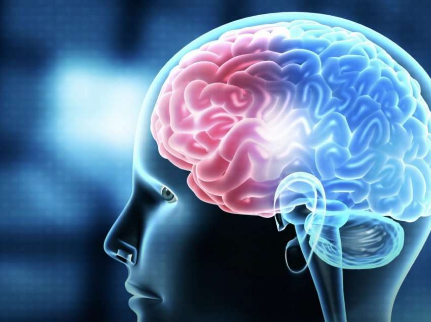Çfarë duhet të dini mbi aftësinë e trurit tonë për t’u shëruar