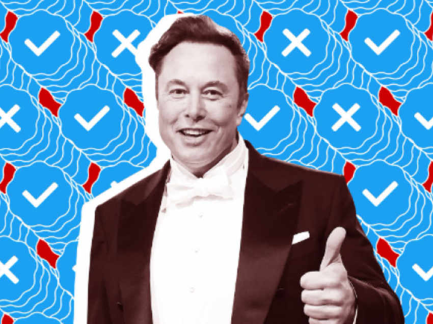Twitter pezullon llogarinë ElonJet që gjurmon lëvizjet e aeroplanit privat të Elon Musk