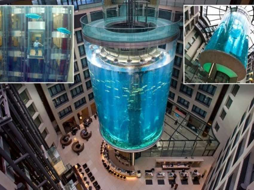 ​Shpërthen ”AquaDom”, akuariumi cilindrik më i madh vertikal në botë