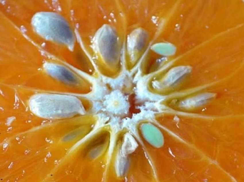 Farat e mandarinave, pse çmohen nga mjekësia popullore