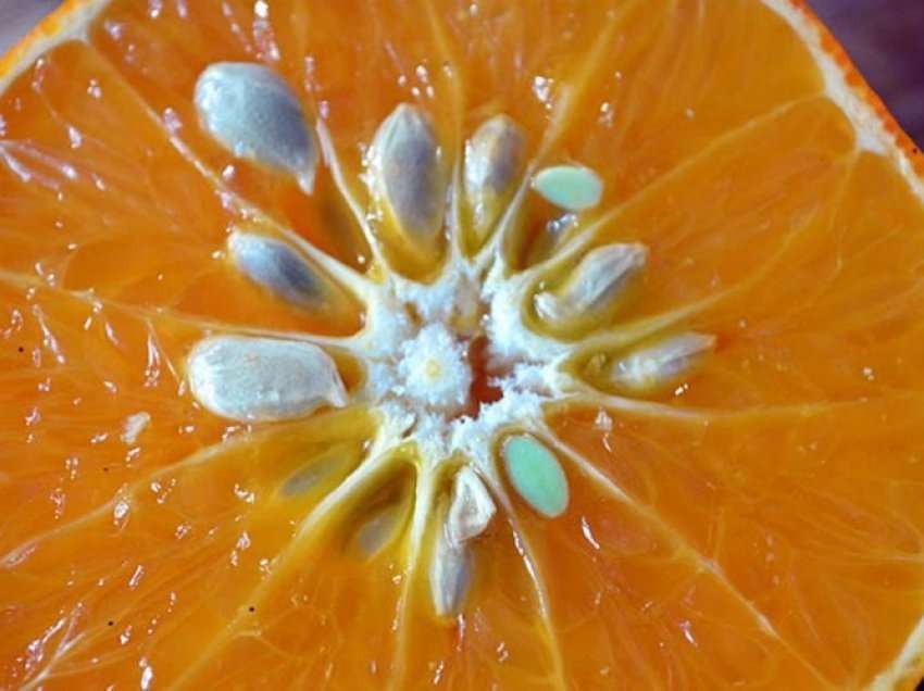 Vlerat shëndetësore të farave të mandarinave