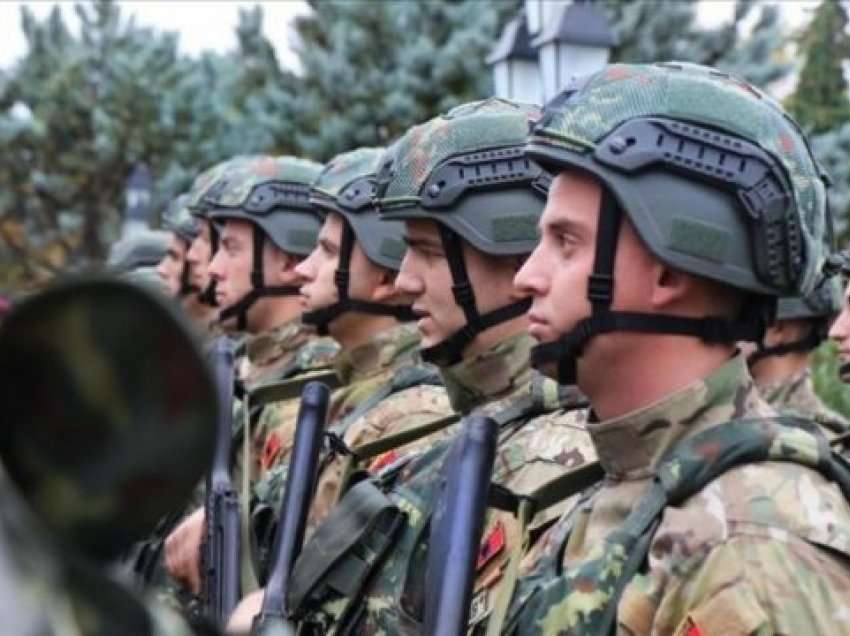 Urdhëroi aftësim të 5.000 “specialistëve” të ushtrisë, çfarë po do Vuçiq?