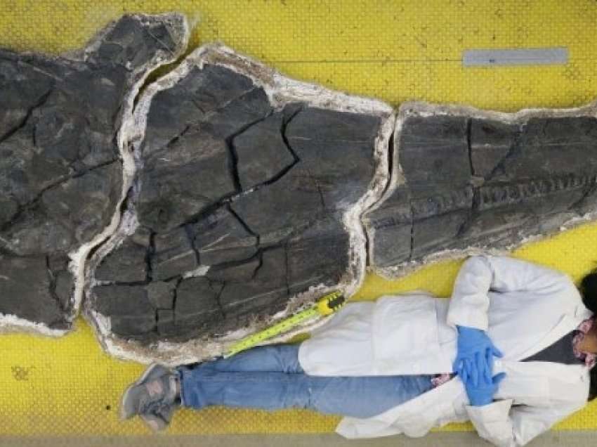 ​Gjurmët e një paraardhësi dinozauri 200 milionë vjeçar janë gjetur në Uells