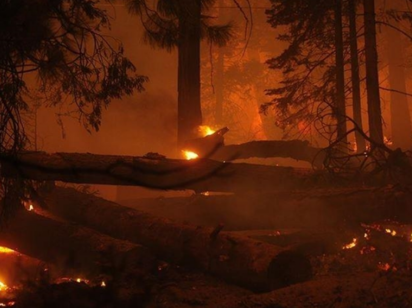 SHBA, zjarri pyjor në Kolorado shkaktoi dëme në vlerë 513 milionë dollarë