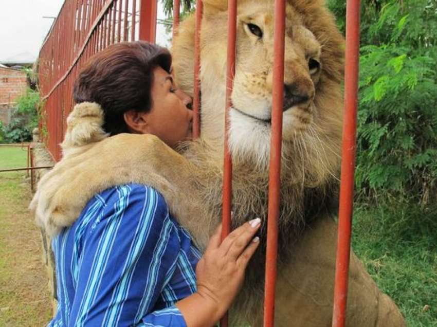 Luani i shpëtuar nga cirku i thotë lamtumirë kujdestares pas 20 vjetëve së bashku 
