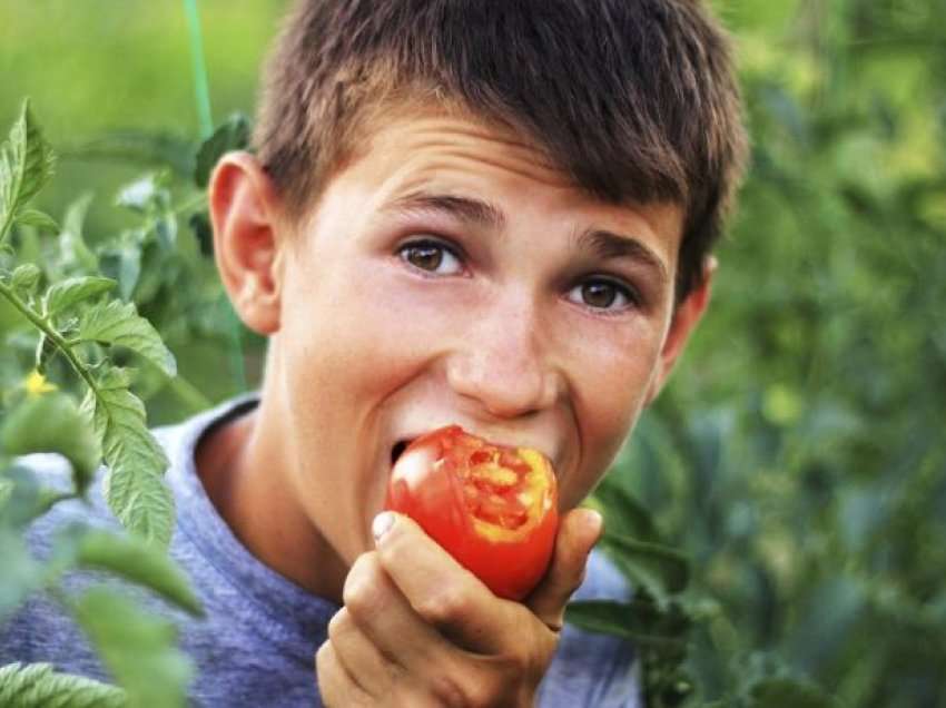 Nëse e hani domaten me lëkurë duhet të ndaloni menjëherë, ekspertët tregojnë arsyen