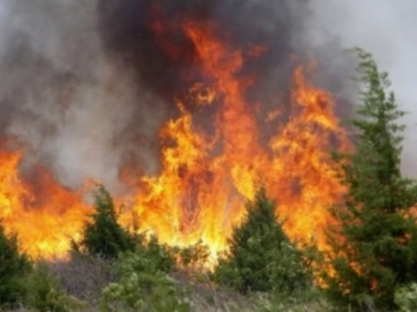 Zjarri në malin e Çikës vijon prej 2 ditësh, flakët në drejtim të Llogarasë