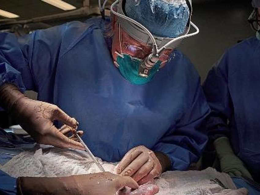 Transplantohet me sukses zemra e derrit tek dy pacientë në SHBA