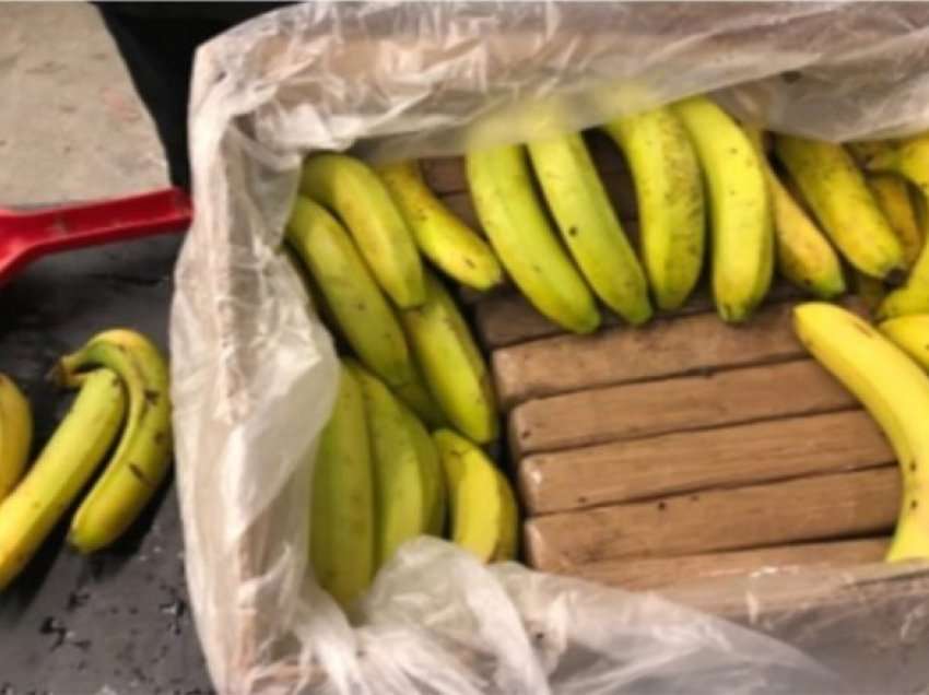 Droga në kontenierët me banane/ GJKKO i jep SPAK afat 3 muaj për hetimin e trafikut të kokainës