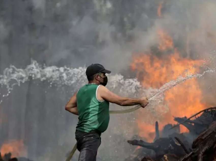 Zjarrfikësit përpiqen të shuajnë zjarret në Portugali dhe Spanjë