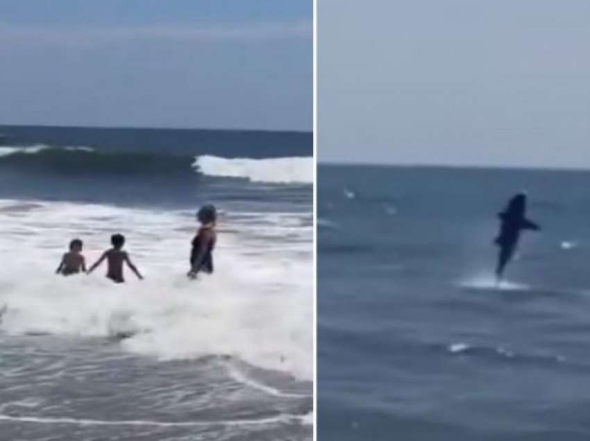 Panik në New York: Peshkaqeni shfaqet vetëm pak metra larg fëmijëve