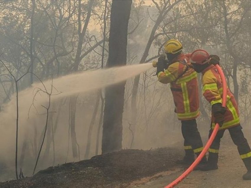 Francë, zjarret në jugperëndim stabilizohen pasi shkatërruan 20.800 hektarë pyje
