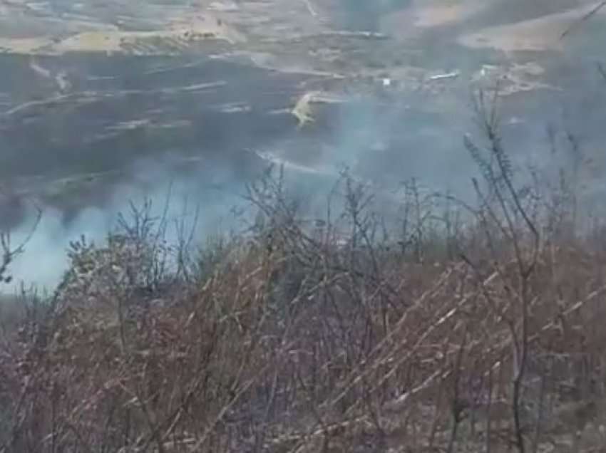Zjarri në Lezhan të Selenicës, digjen dhjetëra hektarë me ullinj dhe një banesë