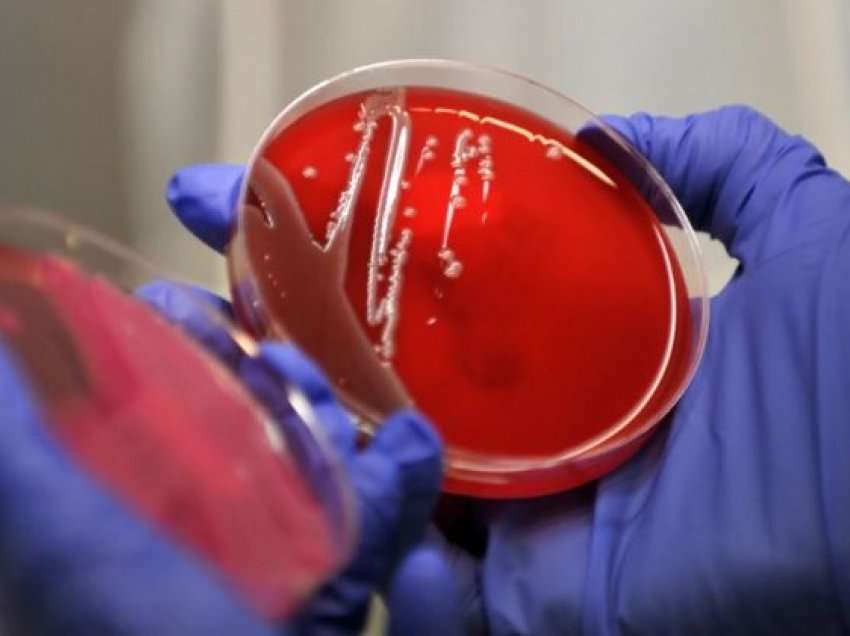Një bakter i rrezikshëm gjendet në tokën e Misisipit