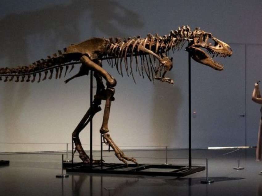 Gorgosaurus: Skeleti i lashtë i dinosaurit shitet për 6 milionë dollarë në ankand