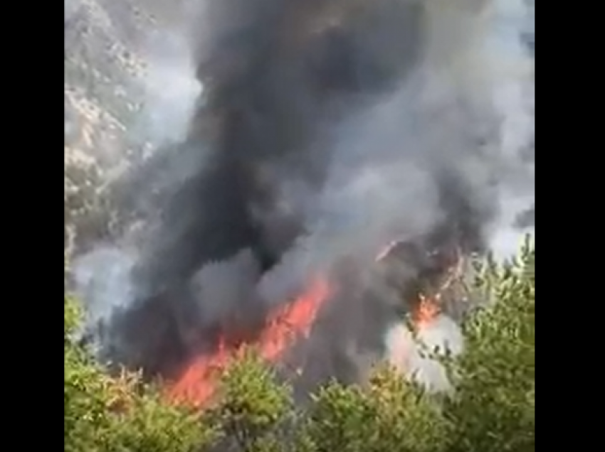 Zjarri djeg pyjet në Mirditë/ E pamundur ndërhyrja nga toka në zonën e Oroshit