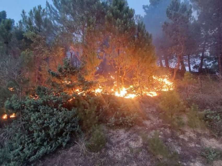 Zjarri në Kepin e Rodonit/ Zjarrfikësit dorëzohen, pasi udhëtuan 8 kilometra në këmbë