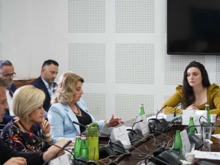 ​Komisioni për Ekonomi në Tiranë: Diskutuam për bashkëpunim më të mirë ekonomik mes dy vendeve
