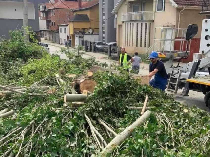 ​Pas tragjedisë, Komuna e Prishtinës eliminon dhe krasit drunjtë e dëmtuar
