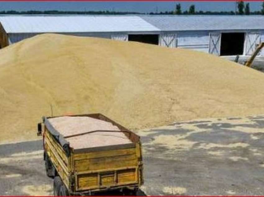 Ukraina krijon rrugë eksporti të grurit për ta shmangur krizën globale të ushqimit