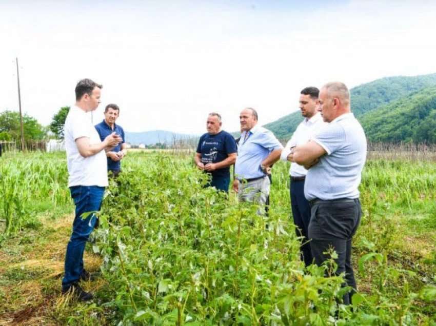 Ministri Faton Peci viziton fermerët llapjanë që pësuan dëme nga breshëri