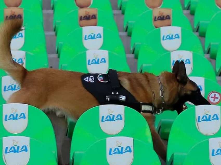 Ideja e pazakontë e klubit të La Ligas, i fton tifozët të shkojnë në stadium së bashku me qentë