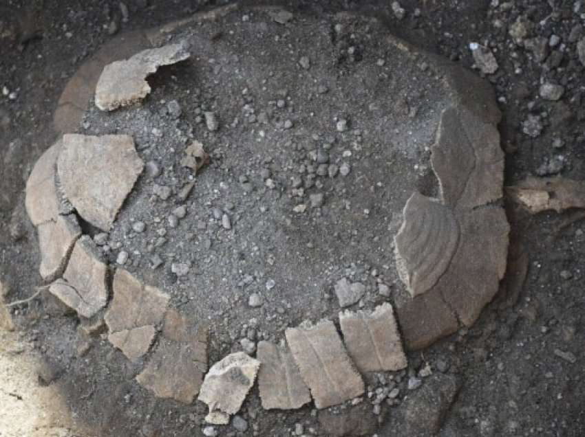​Arkeologët zbulojnë breshkën 2000-vjeçare në Pompei
