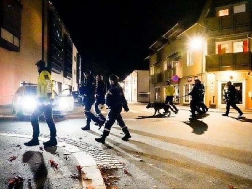 ​Norvegjia rrit nivelin e alarmit pas sulmit vdekjeprurës terrorist