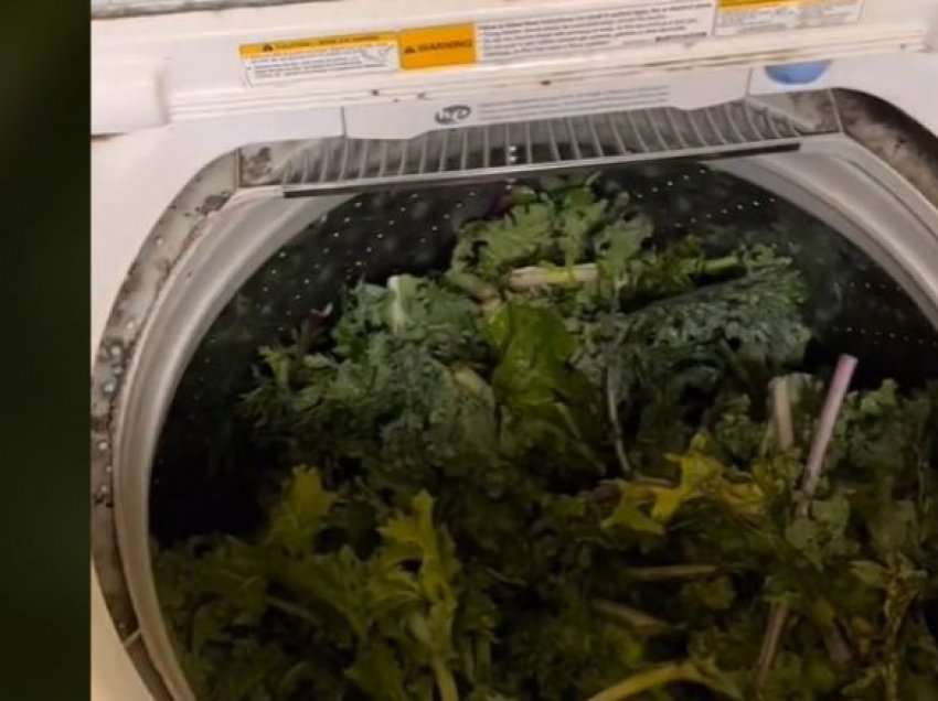 Përdoruesja në TikTok tregon se ka larë lakrën jeshile në lavatriçe