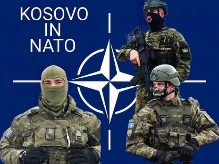 Berisha: Kosova duhet t'i kalojë këta hapa për anëtarësimin në NATO