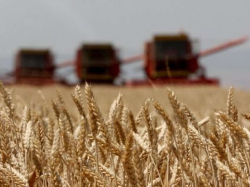 ​Kosova siguron grurin për këtë vit